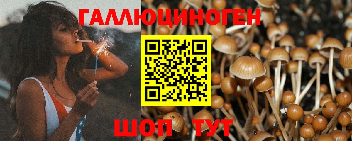 Донской  Псилоцибиновые грибы GOLDEN TEACHER  магазин продажи наркотиков  Вход с VPN 